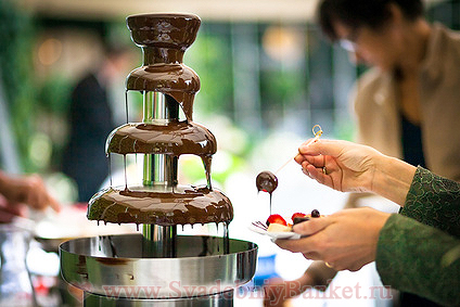 Свадебный шоколадный фонтан